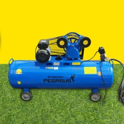 Máy nén khí Pegasus TM- V-0.25/8 3 HP 180L