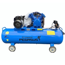 Máy nén khí dây đai PEGASUS TM-V-0.25/12.5-120L