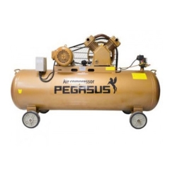 Máy nén khí dây đai Pegasus TM-W-0.36/8-120L (220V)