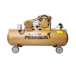 Máy nén khí dây đai Pegasus TM-W-0.36/8-180L (220V)