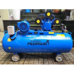Máy nén khí dây đai Pegasus TM-W-0.36/8-230L (220V)