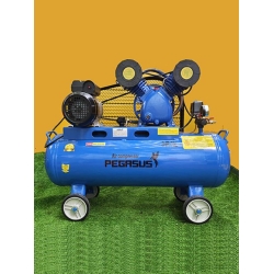 Máy nén khí Pegasus TM- V -0.25/8 (3 HP) 70L
