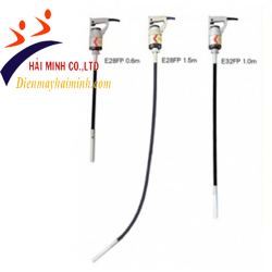 Đầm dùi bê tông cầm tay Exen E28FP (1.5m)
